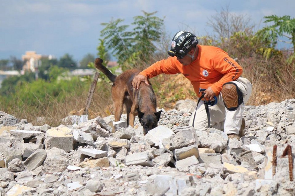 Busqueda y Rescate Con unicad canina